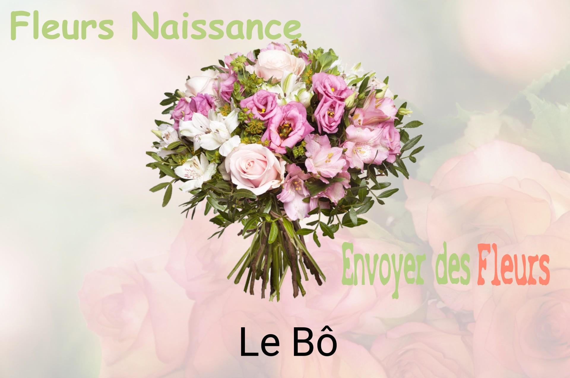 Bouquet de fleurs de naissance livré à Le Bô